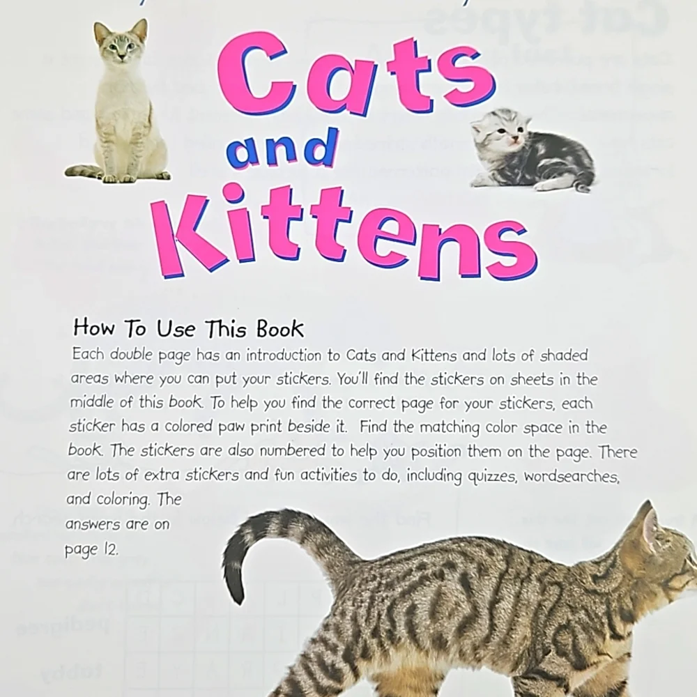 Cats & Kittens Sticker Activity Book